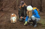 Professional dog trainer Deb Walker (center) looks on as Melanie Fast (right) and her dog Lucy search for their first truffle.