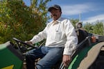 Vilmer Alcantar drives a tractor hauling bins of Granny Smith apples at Avalon Orchards' farm in Sundale, Wash., Monday, Oct. 7, 2019. Alcantar is the foreman here and has worked for Avalon Orchards since 1983.