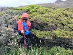 Brian Buma taking measurements along the intact edge of a large patch of trees on Isla Hornos, an island at the southern tip of South America.