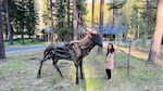 Union, Oregon, artist Brenna Kimbro with her sculpture "Mountain King," cast at Blue Mountain Fine Art in Baker City, Ore.