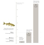 Source: Data obtained by Oregon Public Broadcasting and ProPublica. Average diet figures from EPA surveys of the Nez Perce Tribe and the general population, and fish advisory guidance from the EPA. Additional information can be found in the methodology section below.