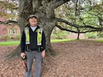 UO arborist Becket DeChant stands under a purple cutleaf European beech on May 5, 2026.