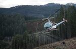 A helicopter sprays water over a recently logged slope owned by Starker Forests, near Philomath, Oregon, in a demonstration of how timber companies typically use herbicides on their tree farms.