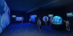 An artist's rendering of what the Oregon Coast Aquarium's new jellyfish exhibit will look like.