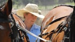 This fall, Sarah Scileppi will help integrate a pair of draft horses into her family's 760-acre biodynamic farm. 