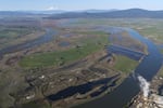 The mainstem Klamath River running alongside Miller Island, looking towards Mt. Shasta.