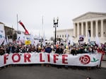 Protesters gathered in Washington, D.C., this past January for the 49th annual March for Life rally. Demonstrators with the March for Life movement sport the color red at protests.