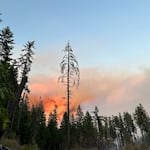 The Bedrock Fire burns on the Willamette National Forest east of Eugene, Ore., in this provided photo from the U.S. Forest Service, July 2023.