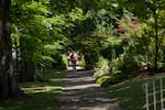 A person runs on the sidewalk in the Ladd's Addition neighborhood in Portland, Ore., on June 22, 2026.