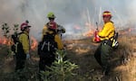 Trainees and personnel gather on the edge of an 8-acre burn on the Andrew Reasoner Wildlife Preserve on Oct. 16, 2021.