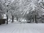 A street in the Sellwood-Moreland neighborhood of Portland.