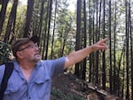 Former U.S. Forest Service employee and firefighter Rich Fairbanks points out the many trees that survived the Miller Complex Fire in 2017.