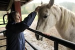 Lois Tivey visits Elvis at the On Golden Rescue animal sanctuary. She needed a new home for the older horse when her own physical condition made it impossible to care for him. 