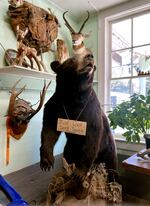 A taxidermy bear watches over Dale, Oregon service station.