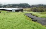 A new road cleaves through the Oregon State University’s sheep farm, connecting NW Oak Creek Drive with NW Ponderosa Avenue.