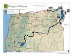 A map of Oregon grey wolf OR-7's movements in 2011. 