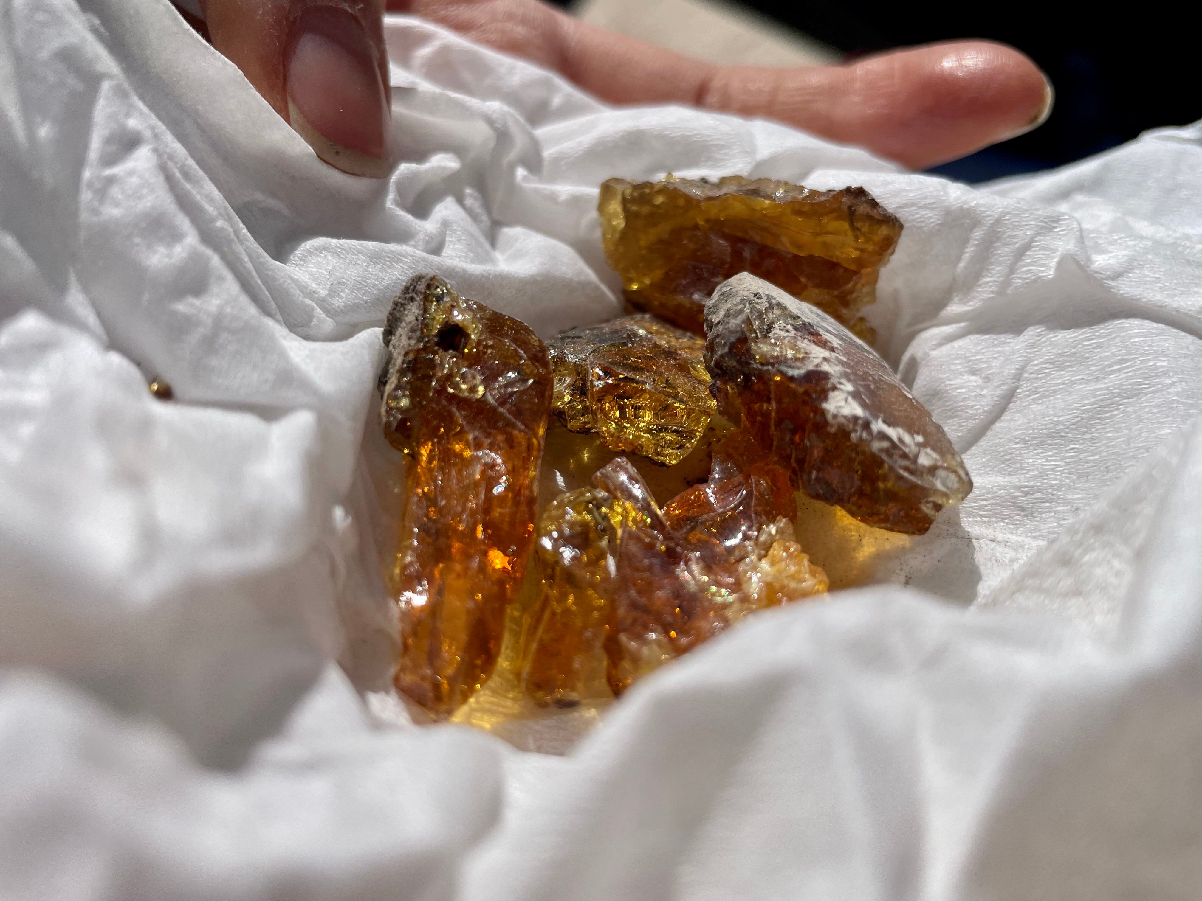 Once the amber fragments are cleaned up, they sparkle.