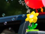 A child sprays bubbles out of a machine along the parade route.