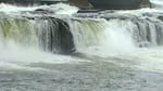 Willamette Falls is just one of many barriers fish face in as they swim upstream to their spawning grounds in the Willamette River Basin.