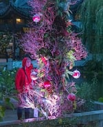 A woman in red jacket looks at a tall tree adorned with glass balls with flowers inside.