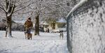 Ken McBride walks his dogs in a Southeast Portland neighborhood park, Feb. 21, 2018. 