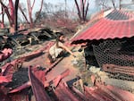 Italia Guterrez, 9, searches the rubble of her family's mobile home in Talent, Ore., that is covered in red residue from an air drop of fire retardant, Thursday, Sept. 10, 2020. Italia's family lost everything in the fire earlier in the week and have no insurance or savings. The fires in southern Oregon have taken the most from those with the least, leveling multiple trailer parks in both Talent and nearby Phoenix, Ore.