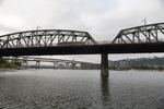 Oregon Health Authority recently issued a health warning after algae toxins were found in the Willamette river between Ross Island and Cathedral Park. Although the warning has been lifted in the downtown region, blue-green algae is still present in Ross Island Lagoon.