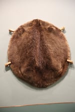 A beaver pelt, displayed at the Heritage Museum in Astoria. April 15, 2026