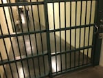 Washington jails have reduced their populations by more than half since the start of the COVID-19 crisis, according to tracking by the Washington Association of Sheriffs and Police Chiefs