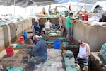 Archaeologists work to excavate ancient human artifacts at Cooper's Ferry in Western Idaho.