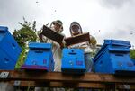 Glen Andresen (left) and Time Wessels (right) are two beekeepers in Northeast Portland.