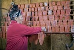 Brigette McConville of the Confederated Tribes of Warm Springs, prepares wind-dried salmon the traditional way in September 2021. The head and bones are removed and the salmon is then sliced into strips, salted and hung to dry for several days. 