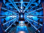 The multi-billion dollar National Ignition Facility has used 192 laser beams to create net energy from a tiny pellet of nuclear fuel.