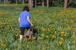 Gilbert walks away from the camera in a field of wildflowers bordering woods.