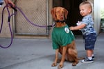 The Portland Pulse mascot, Polly, gets a visit from a fan.