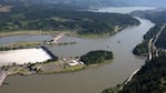 The Bonneville Dam marks the beginning of the lower Columbia River. Scientists say the health needs of this section of river go beyond salmon recovery