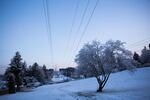 Morning in Beaverton on Feb. 21, 2018 after snow blanketed the Portland metro area. 