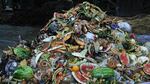 This pile of food waste from Portland businesses will end up generating electricity in a methane digester 100 miles south of town.