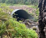 The Small Forestland Investment in Stream Habitat Program is taking applications for projects, like this new 50X15 foot culvert above, to help improve fish passage. Oregon. 2023