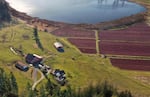 A drone view of the Lachney’s cranberry farm outside of Eatonville, Washington.