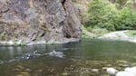 Craig Tucker and Amy Fingerle snorkel a hole on Wooley Creek.