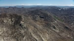 The 2020 Beachie Creek Fire started in the Opal Creek Wilderness and burned nearly 200,000 acres.