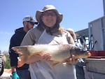 Fish biologist Linda Beck holds one of thousands of carp that were fished out of Malheur Lake in order to see if commercial fishing could be a viable solution to address the invasive carp.