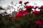 The Oregon Capitol in Salem, Ore., Thursday, Sept. 26, 2019.