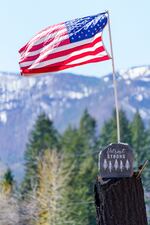 FILE - A sign and flag are posted atop a burnt-out tree stump, April 15, 2021, commemorating the devastation from the fires that ripped through Detroit in 2020.