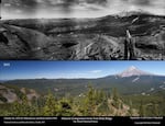 A comparison of the forest density on Mount Hood in 1933 and 2015.