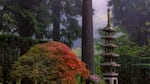 Set against the deep green and mist of a Douglas fir forest, the Sapporo Lantern commemorates Portland’s sister city relationship with the Hokkaido capital.