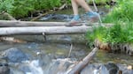 Crossing a creek in Crater Lake National Park.