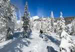 Backcountry skiing on the east side of Mount Hood in Oregon, Jan. 16, 2024.