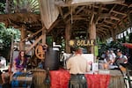 The Oregon Country Fair offers educational opportunities, such as Energy Park where visitors can learn about topics such as alternative fuel and solar power.